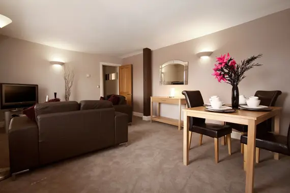 Chocolate coloured seatings