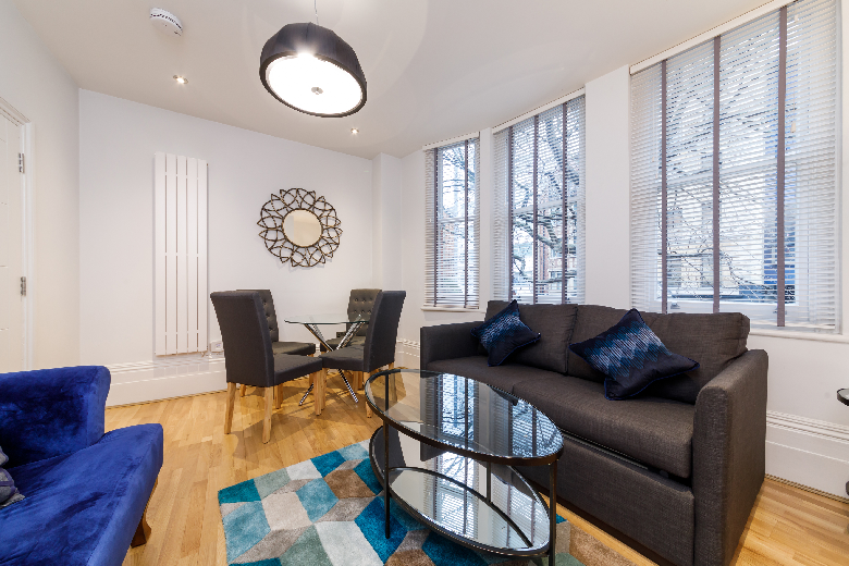 A typical contemporary and modern dining and living area