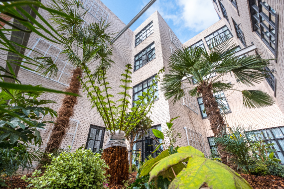 The stunning courtyard!