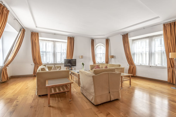 Light and cozy living room in the two bedroom apartments