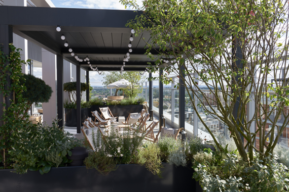 Beautifully designed roof horticultural terrace