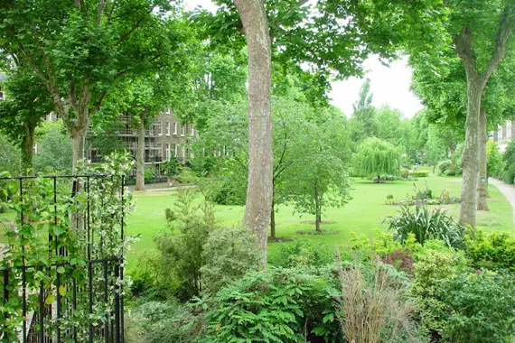 The gorgeous gardens