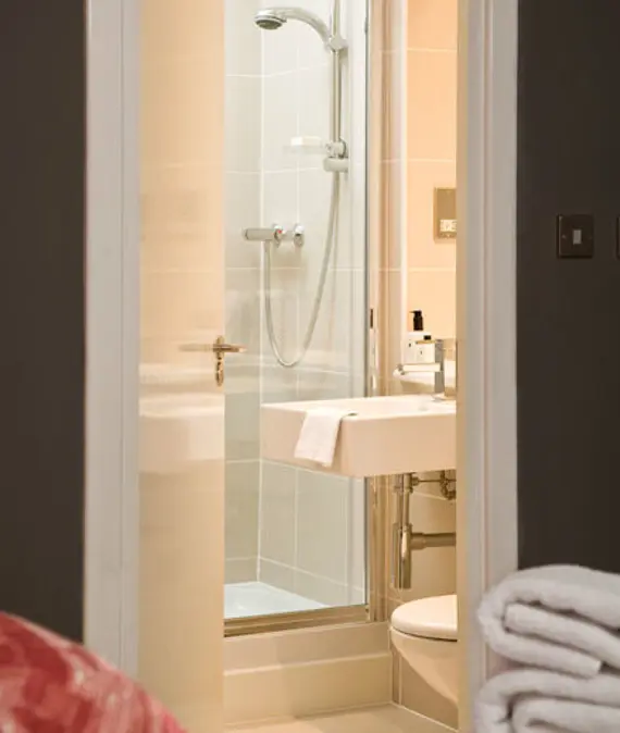 A luxurious, modern shower room