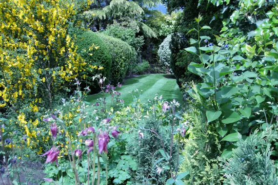 The gorgeous outside space