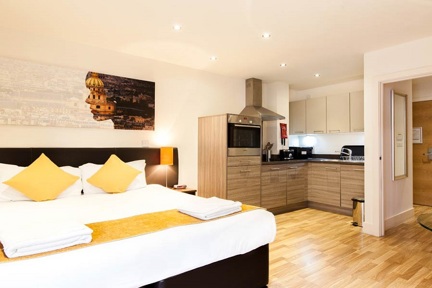 A modern, spacious living area in a Studio Apartment