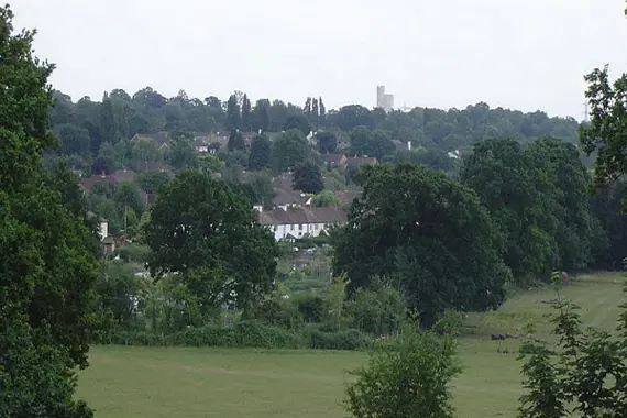 The beautiful surroundings of Claygate