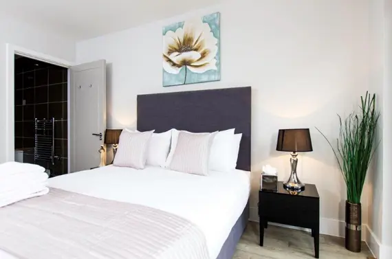 A contemporary bedroom with en-suite bathroom