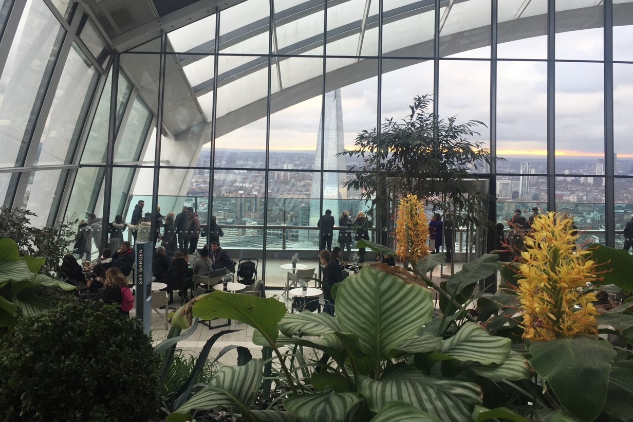 silhouettes of people looking out from the sky garden at the view with tropical plants in the foreground