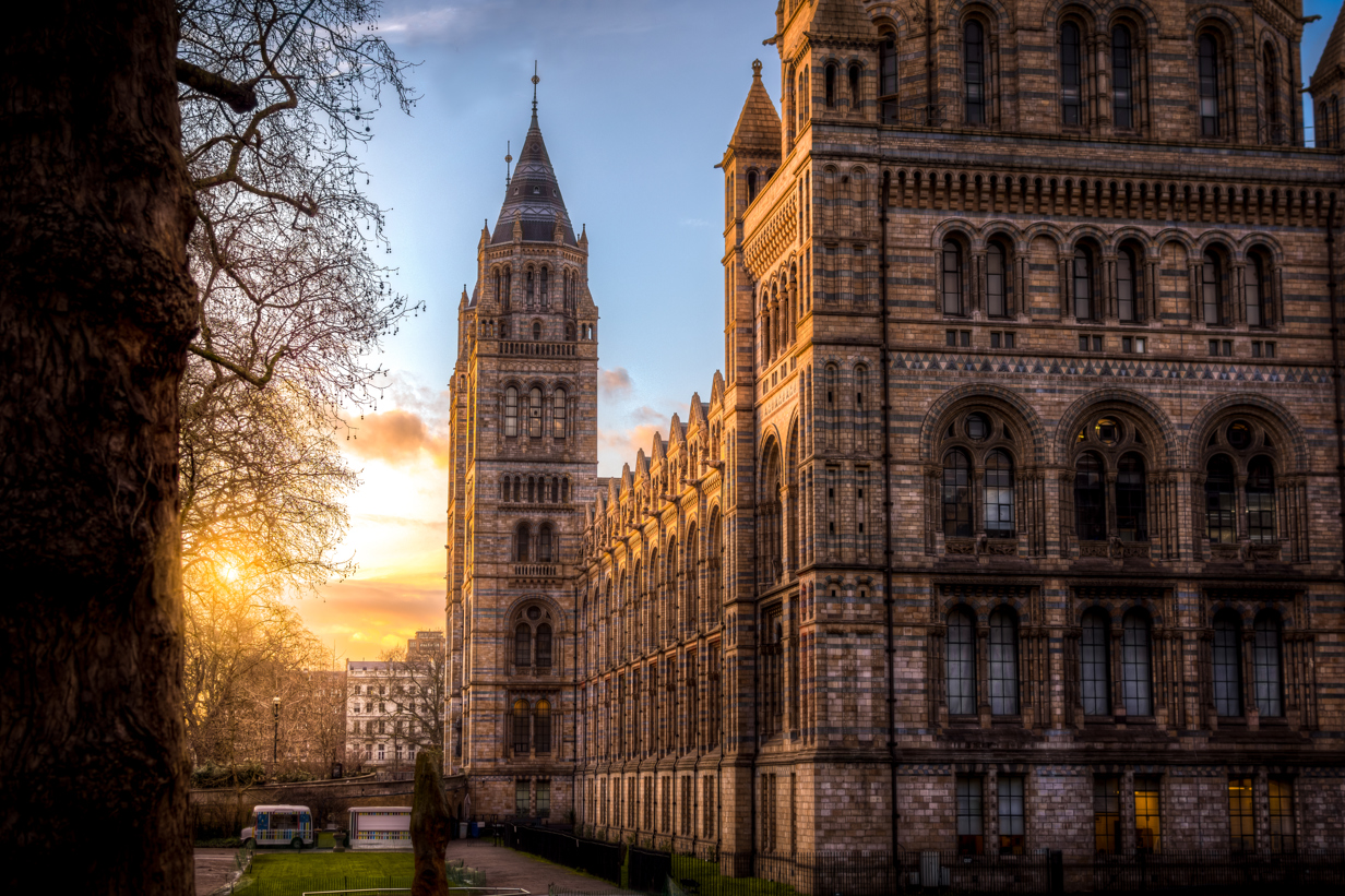 National History Museum at Sunset