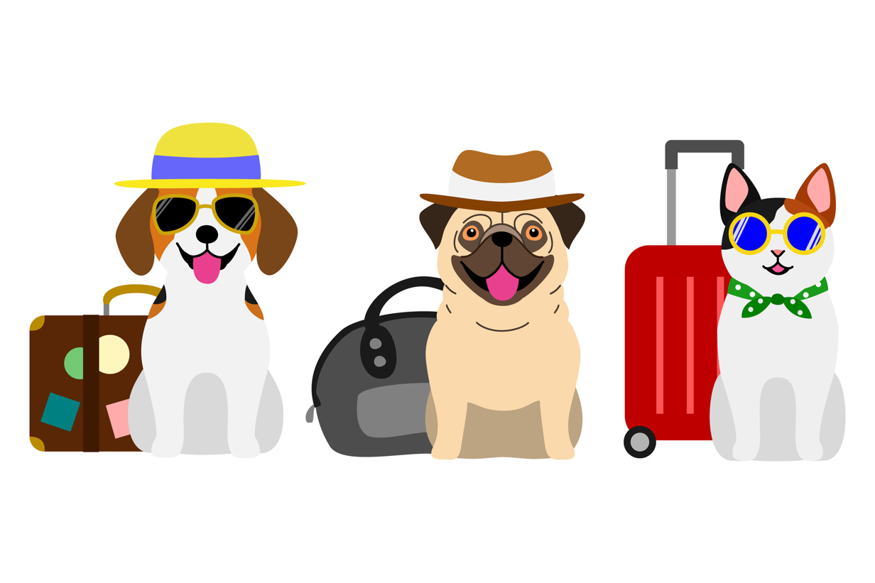 illustration of two dogs and a cat with suitcases ready to travel